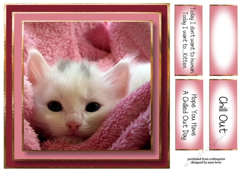 Today...I Want To Kitten 8x8