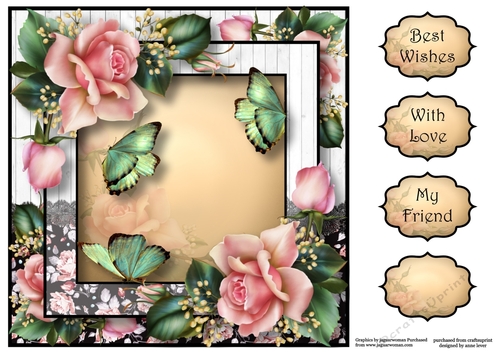 Soft Pink Roses & Flutters 8x8