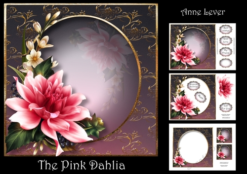 The Pink Dahlia
