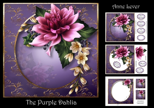 The Purple Dahlia