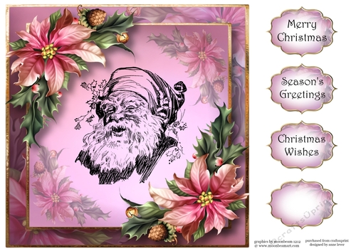 Vintage Pink Poinsettias & Santa 8x8