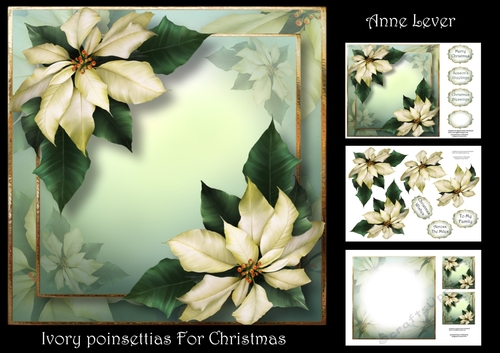 Ivory Poinsettias For Christmas