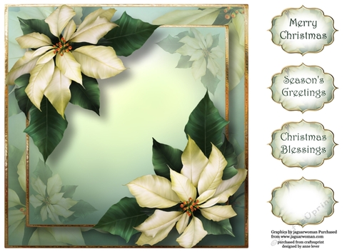 Ivory Poinsettias For Christmas 8x8