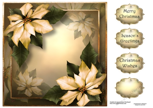 Cream Poinsettias For Christmas 8x8