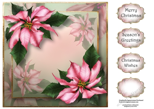 Pink Poinsettias For Christmas 8x8