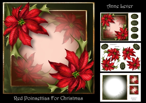 Red Poinsettias For Christmas