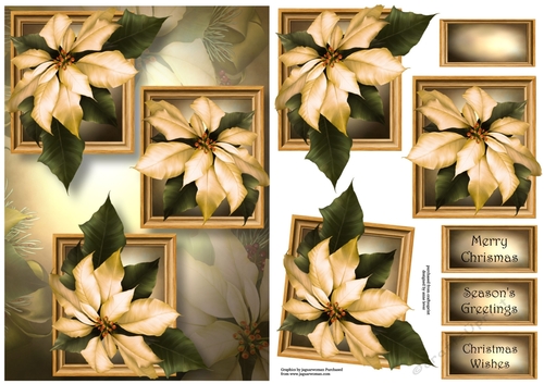 Frame Trio Christmas - Ivory Poinsettias