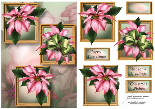 Frame Trio Christmas - Pink Poinsettias