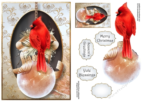 Christmas Cardinal A5