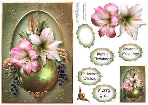 Christmas Amaryllis A5