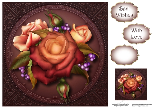 Gorgeous Autumn Blush Roses 8x8