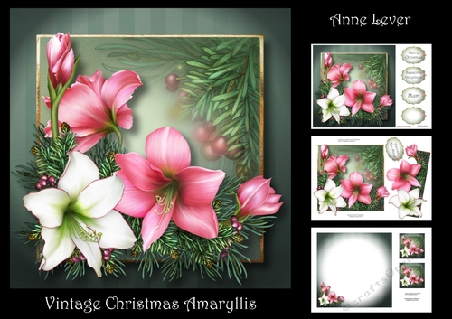 Vintage Christmas Amaryllis 