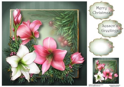 Vintage Christmas Amaryllis 8x8