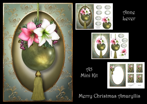 Merry Christmas Amaryllis