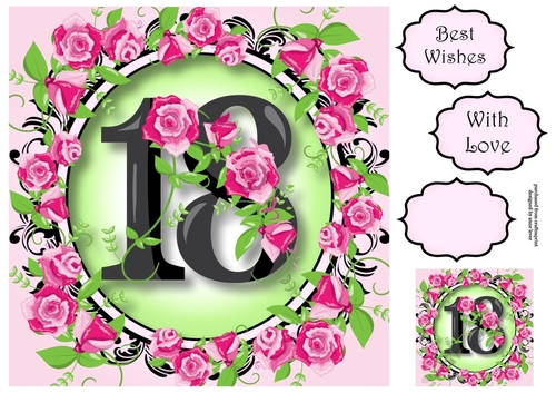 18 With Pretty Pink Roses 8x8