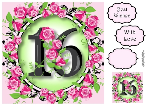 16 With Pretty Pink Roses 8x8