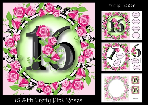 16 With Pretty Pink Roses