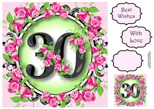 30 With Pretty Pink Roses 8x8