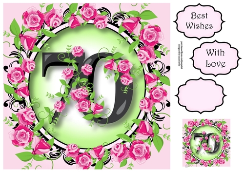 70 With Pretty Pink Roses 8x8