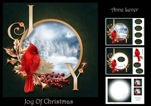 Joy Of Christmas