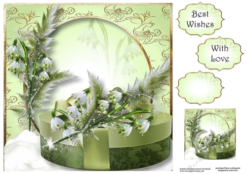 Simple Snowdrop Birthday Gift 8x8