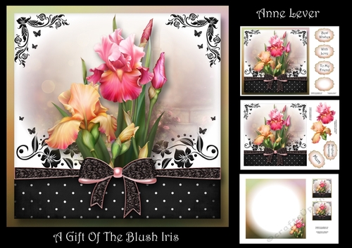 The Gift Of The Blush Iris