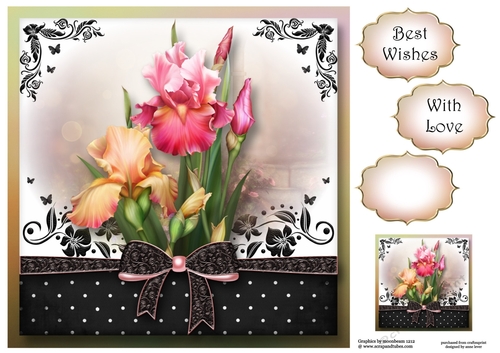 The Gift Of The Blush Iris 8x8