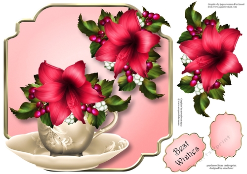Deep Pink Amaryllis - Teacup & Saucer
