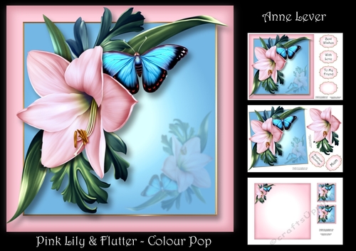 Pink Lily & Flutters - Colour Pop
