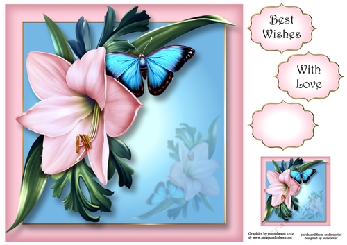 Pink Lily & Flutters - Colour Pop 8x8