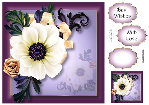 Elegance & Grace 8x8