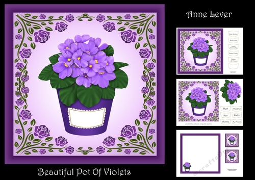 Beautiful Pot Of Violets
