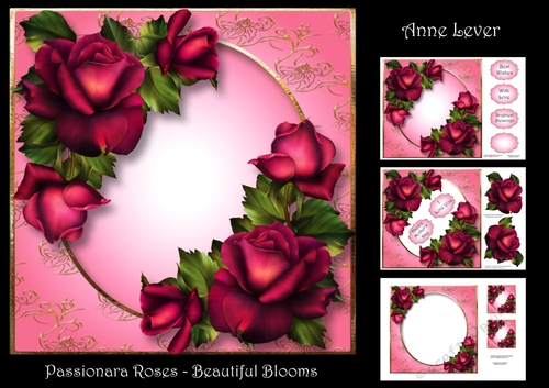 Passionara Roses - Beautiful Blooms