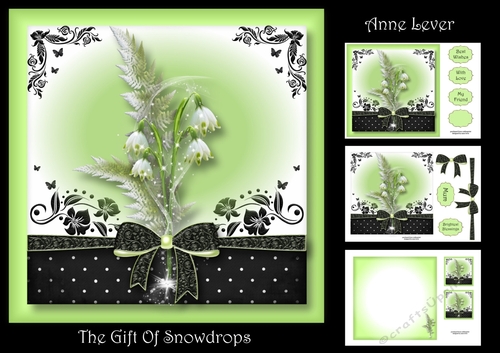 The Gift Of Snowdrops