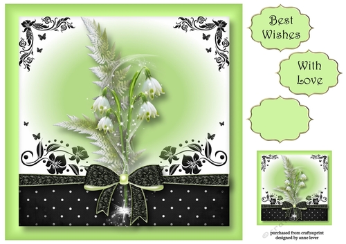 The Gift Of Snowdrops 8x8