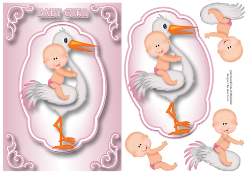 Welcome Baby Girl
