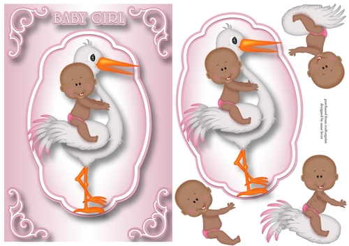 Welcome Baby Girl 2