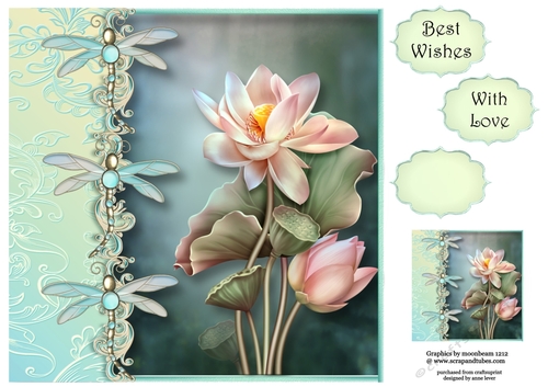 The Dragonfly Lotus Flower 8x8