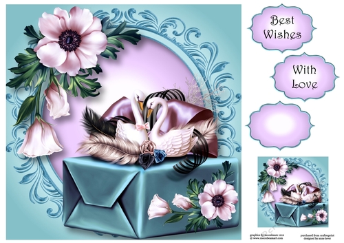 The Swan Gift 8x8