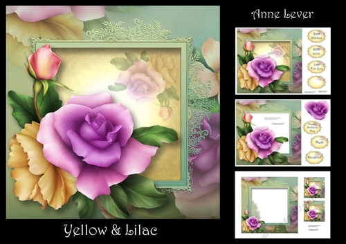 Yellow & Lilac