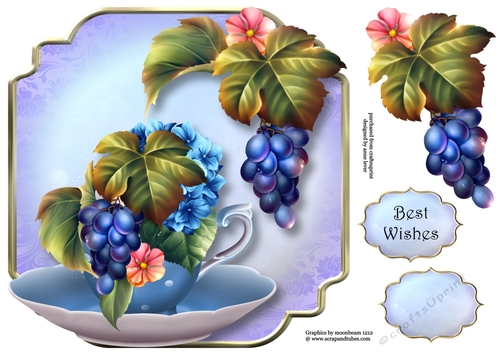 Teacup & Saucer Les Jardin - Vines