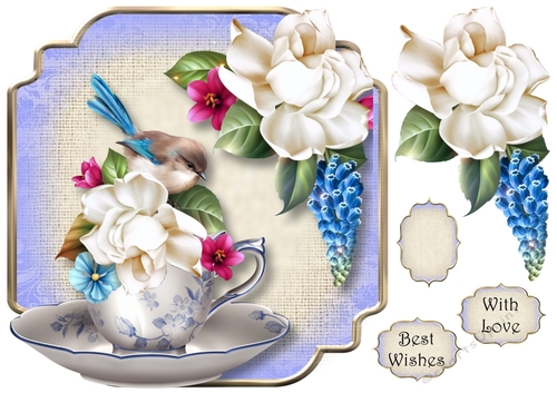 Teacup & Saucer Les Jardin - Fairy Wren