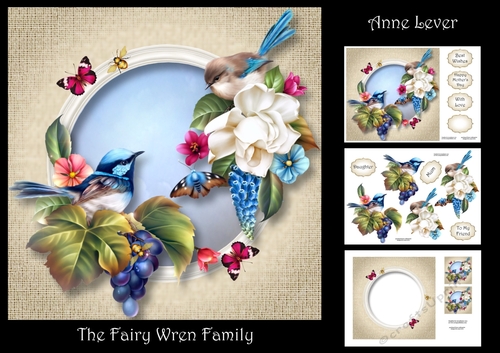 The Fairy Wren Family