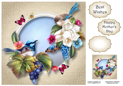 The Fairy Wren Family 8x8