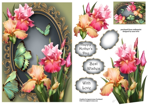 Beautiful Blush Iris & Butterflies A5