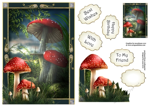The Land Of Shrooms A5