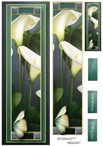 Pure Calla Lilies Large DL