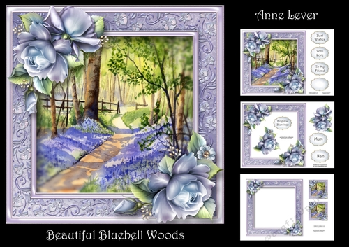 Beautiful Bluebell Woods