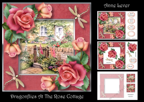 Dragonflies At The Rose Cottage