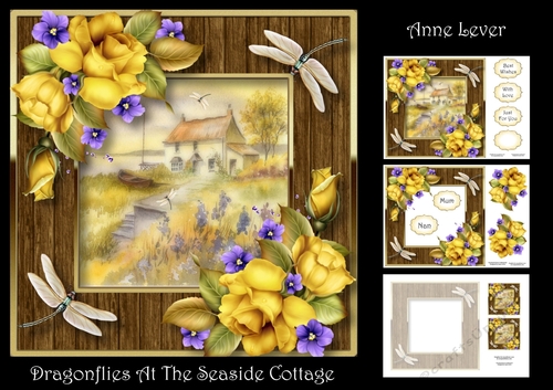 Dragonflies At The Seaside Cottage